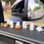 Set 6 mô hình thỏ kèm phụ kiện mini dễ thương trang trí bàn làm việc, tủ sách, quà tặng, tiểu cảnh