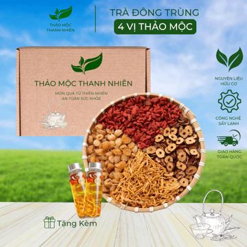 Trà Đông Trùng Hạ Thảo Tứ Vị, Trà Thảo Mộc Đẹp Da Mượt Tóc, Tăng Cường Sinh Lý, Thảo Mộc Thanh Nhiên