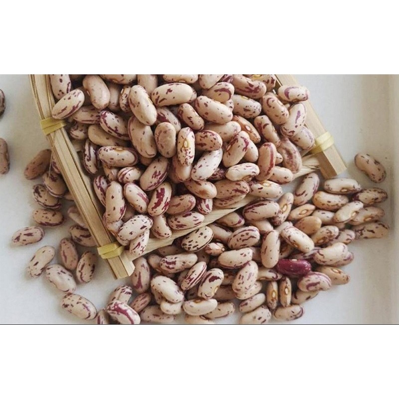 1KG  Đậu Cúc Pinto Hữu Cơ _ đậu cúc Làm món xào, salad, hầm, nấu súp, cháo  _ nongsangiasi _đậu cúc giá sỉ _ đậu cúc