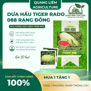 Hạt giống Dưa Hấu Lai F1 Tiger 088 (10 hạt) trái to chắc, nặng 10-12 Kg, ruột đỏ, trồng quanh năm