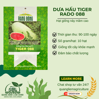 Hạt giống Dưa Hấu Lai F1 Tiger 088 (10 hạt) trái to chắc, nặng 10-12 Kg, ruột đỏ, trồng quanh năm