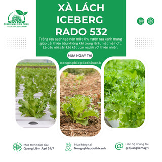 Hạt giống Xà Lách Iceberg Rado 532 (2gram~1000 hạt) nảy mầm tốt, dễ chăm sóc, trồng quanh năm