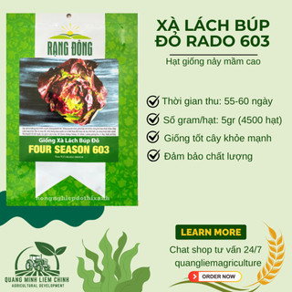 Hạt giống Xà Lách Búp Đỏ Four Season 603 (5gram~4500 hạt) giàu dinh dưỡng, trồng quanh năm, dễ chăm
