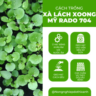 Hạt giống Xà Lách Xoong Rado 704 (1gram~1500 hạt) giàu dinh dưỡng, chịu nhiệt tốt, trồng quanh năm