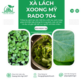 Hạt giống Xà Lách Xoong Rado 704 (1gram~1500 hạt) giàu dinh dưỡng, chịu nhiệt tốt, trồng quanh năm