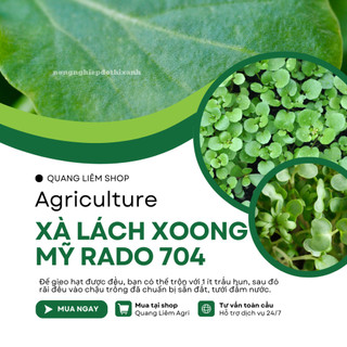 Hạt giống Xà Lách Xoong Rado 704 (1gram~1500 hạt) giàu dinh dưỡng, chịu nhiệt tốt, trồng quanh năm