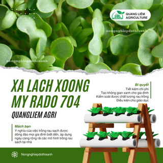 Hạt giống Xà Lách Xoong Rado 704 (1gram~1500 hạt) giàu dinh dưỡng, chịu nhiệt tốt, trồng quanh năm