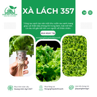 Hạt Giống Xà Lách RADO 357 (Gói 10g~6000 Hạt) Rạng Đông, Giống Xà Lách Dún Trồng Quanh Năm