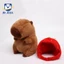 Capybara mini nhỏ Gấu Bông Capybara chảy nước mũi đeo balo rùa mũ dâu tây mini hàng cao cấp có tem mác