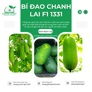 Hạt Giống Bí Đao Chanh Lai F1 RADO 1331 (Gói 0,2gr~10 Hạt) Rạng Đông, Siêu Trái, Trồng Quanh Năm