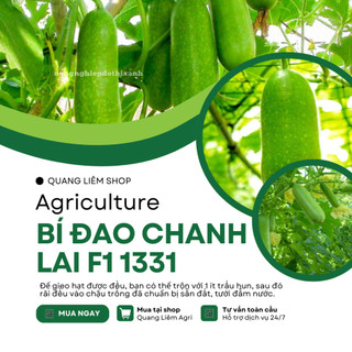 Hạt Giống Bí Đao Chanh Lai F1 RADO 1331 (Gói 0,2gr~10 Hạt) Rạng Đông, Siêu Trái, Trồng Quanh Năm