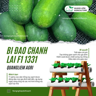 Hạt Giống Bí Đao Chanh Lai F1 RADO 1331 (Gói 0,2gr~10 Hạt) Rạng Đông, Siêu Trái, Trồng Quanh Năm