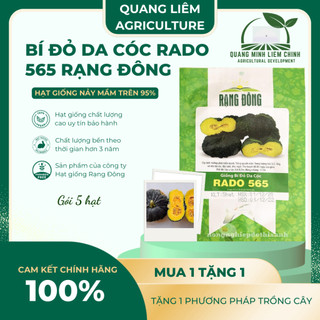 Hạt Giống Bí Đỏ Da Cóc RADO 565 (Gói 5 Hạt) Rạng Đông, Đặc Ruột, Dẻo Thơm, Trái Sai, Trồng Quanh Năm