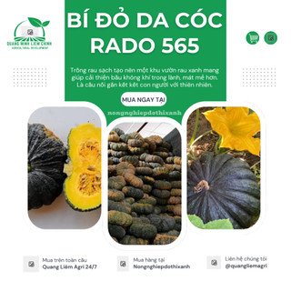 Hạt Giống Bí Đỏ Da Cóc RADO 565 (Gói 5 Hạt) Rạng Đông, Đặc Ruột, Dẻo Thơm, Trái Sai, Trồng Quanh Năm