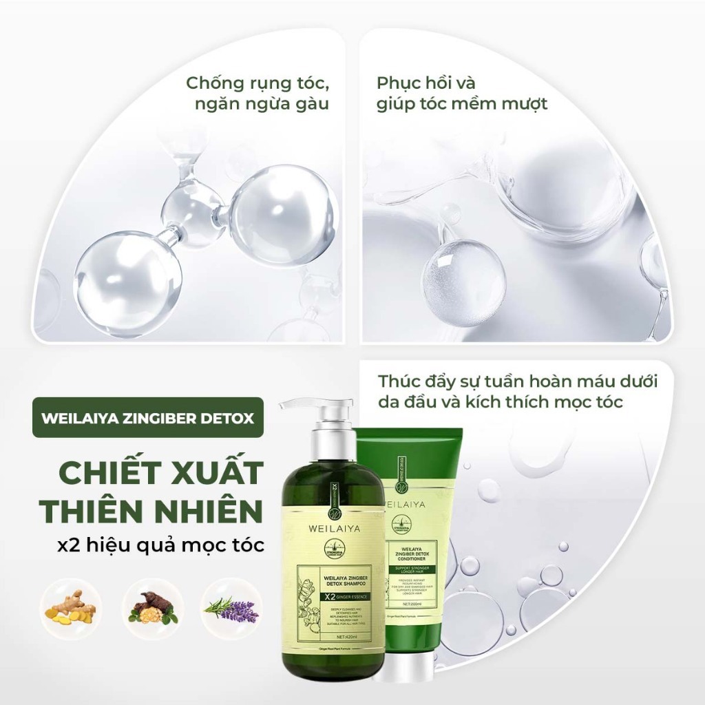 Ảnh Bộ gội xả gừng Vân Nam cao cấp Weilaiya Luxury x2 hỗ trợ mọc tóc, giảm gãy rụng chống lão hóa da đầu 3