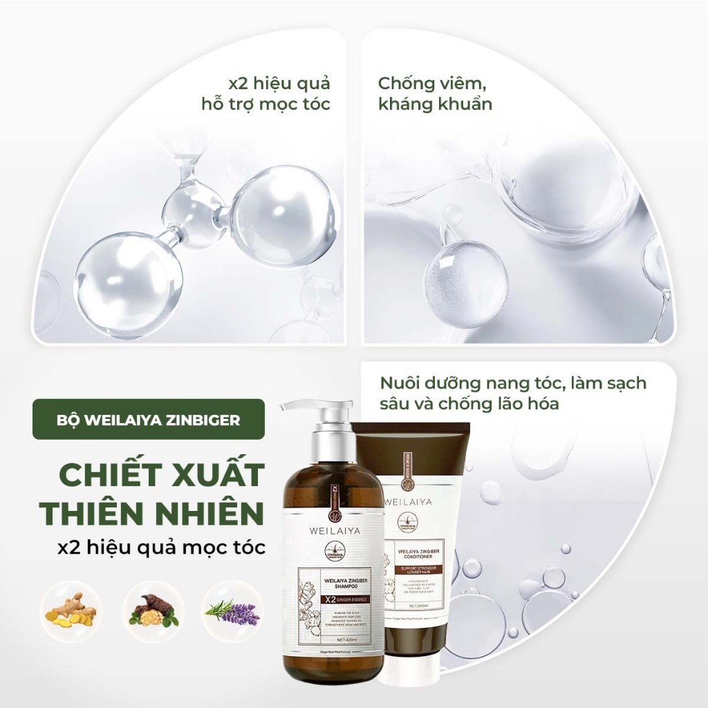 Ảnh Bộ gội xả tinh chất gừng hà thủ ô cao cấp Weilaiya Luxury giúp mọc tóc và phục hồi tóc hư tổn 3