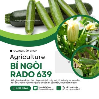 Hạt Giống Bí Ngòi Xanh RADO 639 (Gói 1gram~10 Hạt) Rạng Đông, Dễ Chăm Sóc, Trái Dài, Trồng Quanh Năm
