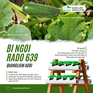 Hạt Giống Bí Ngòi Xanh RADO 639 (Gói 1gram~10 Hạt) Rạng Đông, Dễ Chăm Sóc, Trái Dài, Trồng Quanh Năm