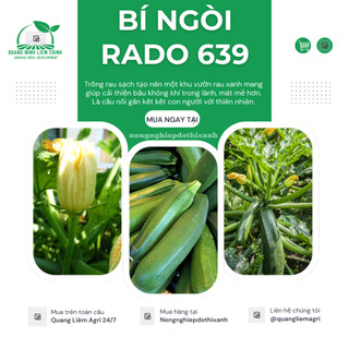 Hạt Giống Bí Ngòi Xanh RADO 639 (Gói 1gram~10 Hạt) Rạng Đông, Dễ Chăm Sóc, Trái Dài, Trồng Quanh Năm