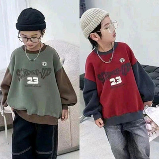 Áo sweater cho bé LÓT LÔNG 16-40KG hàng QC
