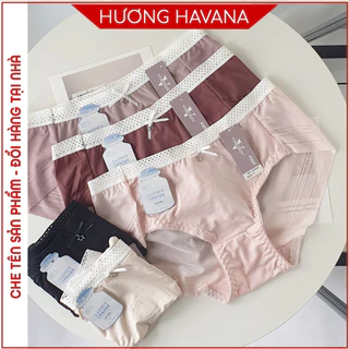 Quần lót nữ chống lộ viền chất Fabric Hàn màu pastel cao cấp Havana FLQ139