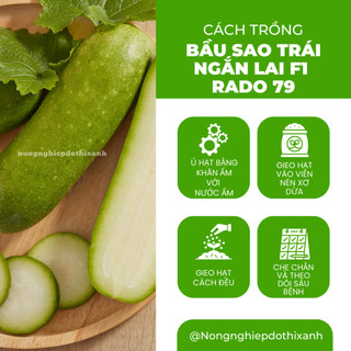 Hạt Giống Bầu Sao Trái Ngắn RADO 79 (Gói 10 Hạt) Rạng Đông, Nảy Mầm Tốt, Siêu Trái, Dễ Chăm Sóc
