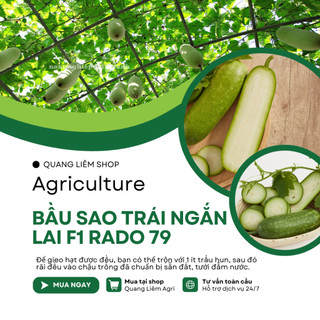 Hạt Giống Bầu Sao Trái Ngắn RADO 79 (Gói 10 Hạt) Rạng Đông, Nảy Mầm Tốt, Siêu Trái, Dễ Chăm Sóc