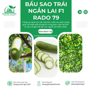 Hạt Giống Bầu Sao Trái Ngắn RADO 79 (Gói 10 Hạt) Rạng Đông, Nảy Mầm Tốt, Siêu Trái, Dễ Chăm Sóc