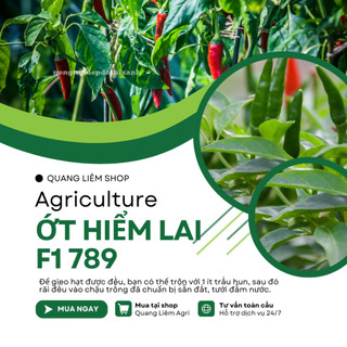 Hạt Giống Ớt Hiểm Lai F1 RADO 789 (Gói 0,2gram~40 Hạt) Rạng Đông, Siêu Cay, Siêu Trái, Cây Khỏe