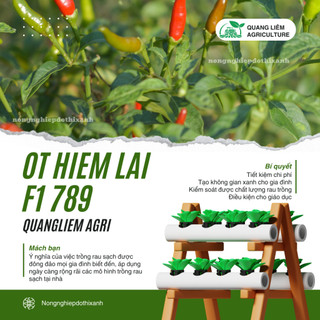 Hạt Giống Ớt Hiểm Lai F1 RADO 789 (Gói 0,2gram~40 Hạt) Rạng Đông, Siêu Cay, Siêu Trái, Cây Khỏe