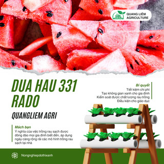 Hạt Giống Dưa Hấu RADO 331 (Gói 10 Hạt) Rạng Đông, Trái To, Dài, Ruột Đỏ, Ngọt, Sinh Trưởng Tốt