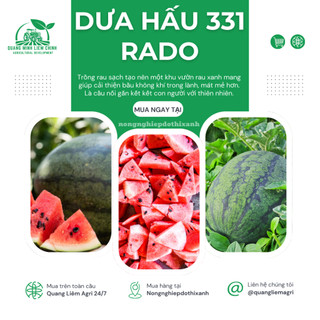 Hạt Giống Dưa Hấu RADO 331 (Gói 10 Hạt) Rạng Đông, Trái To, Dài, Ruột Đỏ, Ngọt, Sinh Trưởng Tốt