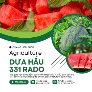 Hạt Giống Dưa Hấu RADO 331 (Gói 10 Hạt) Rạng Đông, Trái To, Dài, Ruột Đỏ, Ngọt, Sinh Trưởng Tốt