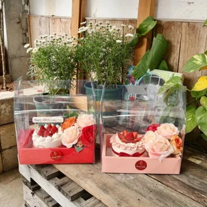 set 10 Hộp 2 ngăn quai xách Meka Mica đựng bánh kem bánh sinh nhật, để hoa quà tặng