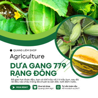 Hạt Giống Dưa Gang RADO 779 (Gói 1gram~50 Hạt) Rạng Đông, Trái Dài, Thơm, Ngon, Sinh Trưởng Mạnh