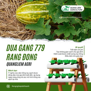 Hạt Giống Dưa Gang RADO 779 (Gói 1gram~50 Hạt) Rạng Đông, Trái Dài, Thơm, Ngon, Sinh Trưởng Mạnh