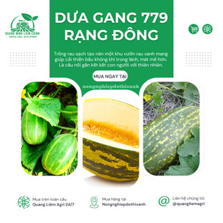 Hạt Giống Dưa Gang RADO 779 (Gói 1gram~50 Hạt) Rạng Đông, Trái Dài, Thơm, Ngon, Sinh Trưởng Mạnh