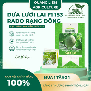 Hạt Giống Dưa Lưới Lai F1 RADO 153 (Gói 10 Hạt) Đông, Trái To, Chịu Nhiệt Tốt, Ngọt, Giòn