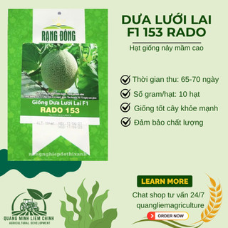Hạt Giống Dưa Lưới Lai F1 RADO 153 (Gói 10 Hạt) Đông, Trái To, Chịu Nhiệt Tốt, Ngọt, Giòn