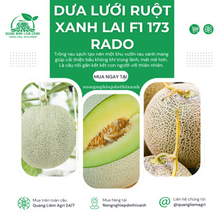 Hạt Giống Dưa Lưới Ruột Xanh RADO 173 (Gói 10 Hạt) Rạng Đông, Trái To, Mắt Lưới Dày, Ngọt, Giòn