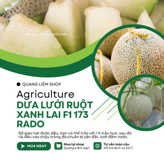 Hạt Giống Dưa Lưới Ruột Xanh RADO 173 (Gói 10 Hạt) Rạng Đông, Trái To, Mắt Lưới Dày, Ngọt, Giòn