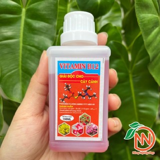 Phân Bón B12 Cho Cây Trồng Chai 100ml - Giải Stress Cho Cây Trồng