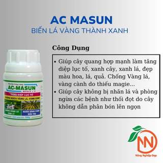 Phân Bón AC MASUN 100g - Ngăn Ngừa Vàng lá - Tăng Diệp Lục Tố - Biến Lá Vàng Thành Xanh