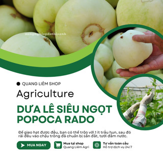 Hạt Giống Dưa Lê Popoca RADO (Gói 0,5gr~35 Hạt) Rạng Đông, Siêu Trái, Siêu Ngọt, Chắc Quả, Quanh Năm