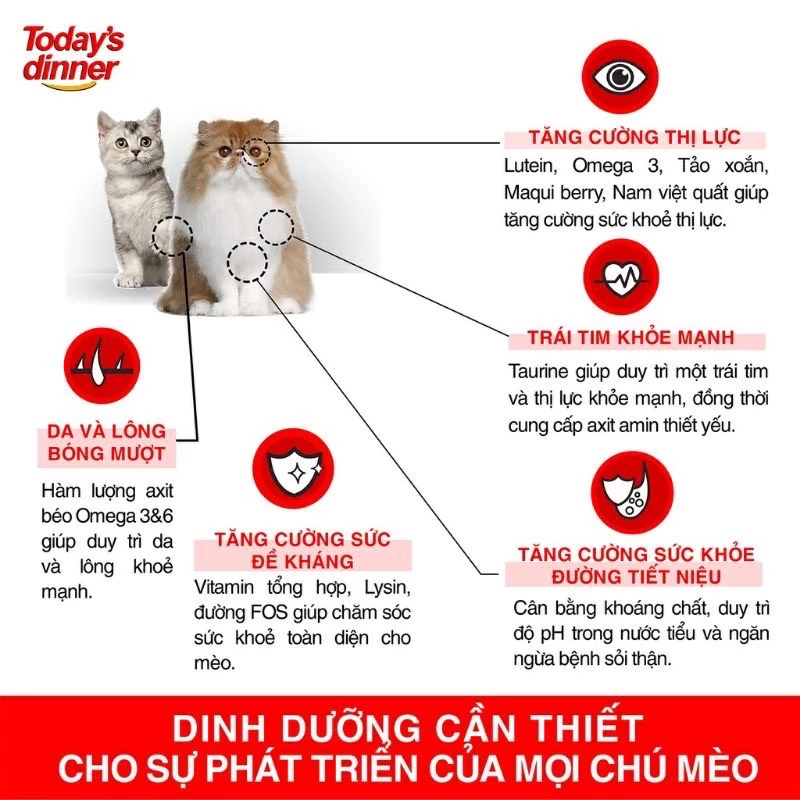 Thức Ăn Hạt Cho Mèo Today's Dinner Nhập Khẩu Hàn Quốc Hỗ Trợ Tiêu Búi Lông, Tăng Cường Đề Kháng 5KG