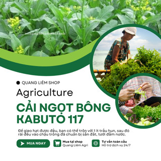 Hạt giống Cải Ngọt Ăn Bông (Cải Ngồng) Kabuto 117 (10gram~2500 hạt) dễ chăm sóc