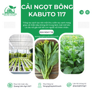 Hạt giống Cải Ngọt Ăn Bông (Cải Ngồng) Kabuto 117 (10gram~2500 hạt) dễ chăm sóc