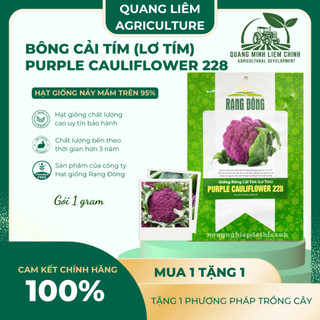 Hạt giống Bông Cải Tím (Lơ Tím) Purple Cauliflower 228 (1gram~300 hạt) giàu dinh dưỡng