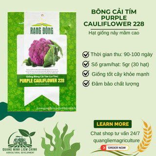 Hạt giống Bông Cải Tím (Lơ Tím) Purple Cauliflower 228 (1gram~300 hạt) giàu dinh dưỡng