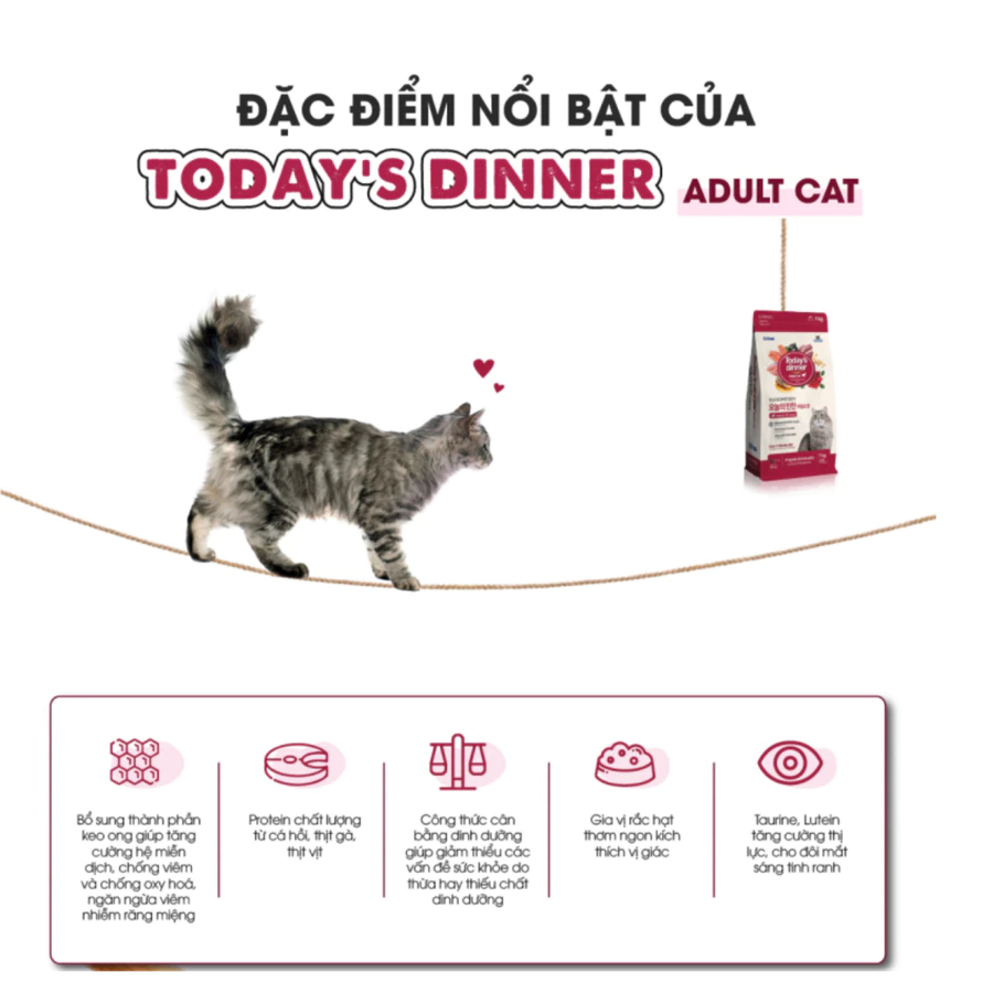 Thức ăn hạt Today's dinner cân bằng dinh dưỡng, chăm sóc toàn diện cho mèo lớn, gói 1KG